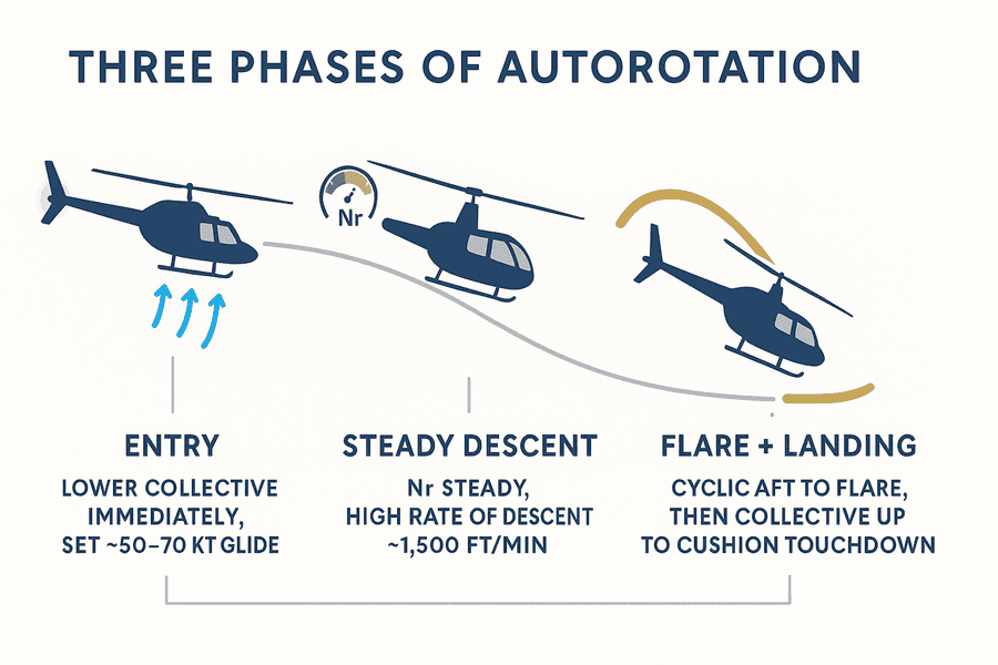 ไทม์ไลน์สามช่วงของ autorotation: เข้า (ลด collective ตั้งความเร็วร่อน), ร่อนลงคงที่ (Nr คงที่), flare แล้วยก collective แตะพื้นนุ่มนวล